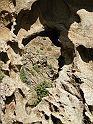 DSCN6976