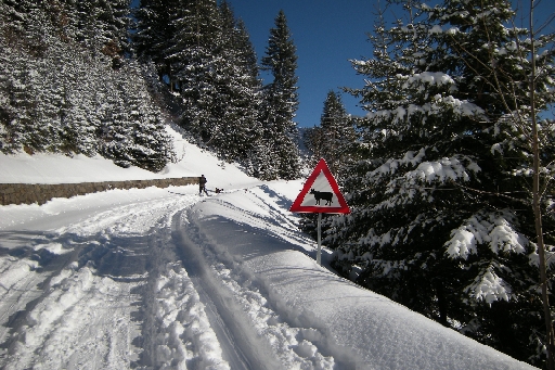 DSCN7464.JPG