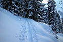 DSCN7439