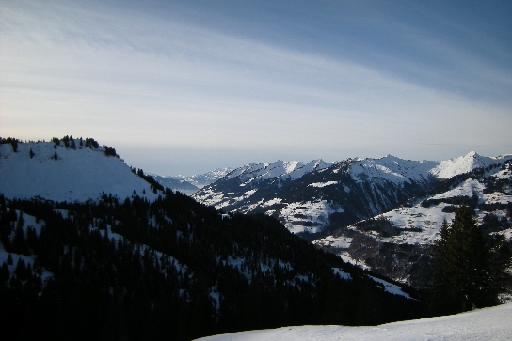 DSCN7515.JPG