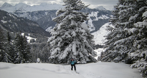 DSCN7605.JPG