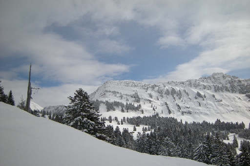 DSCN7607.JPG