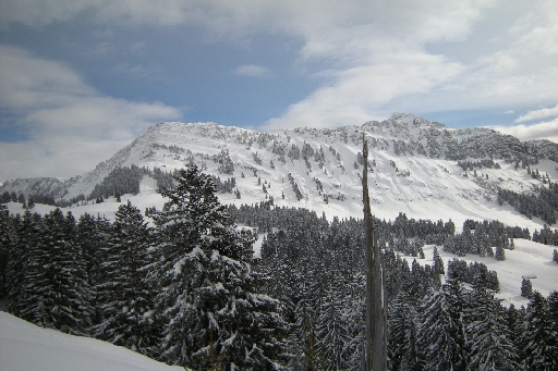 DSCN7610.JPG