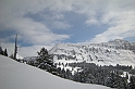 DSCN7607