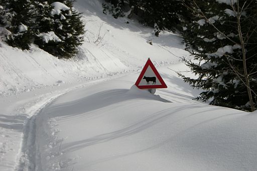 DSCN7655.JPG