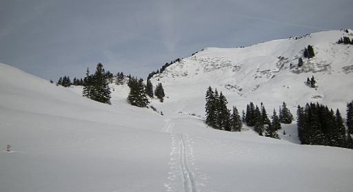 DSCN7659.JPG