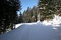 DSCN7647