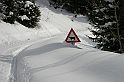 DSCN7655