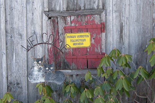 DSCN7716.JPG
