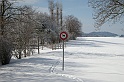 DSCN7686