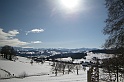 DSCN7696