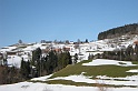 DSCN7729