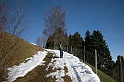 DSCN7734