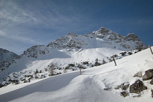 DSCN7739.JPG