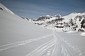 DSCN8008