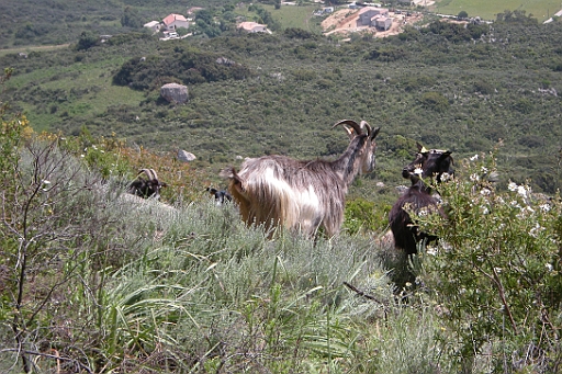 DSCN8575.JPG