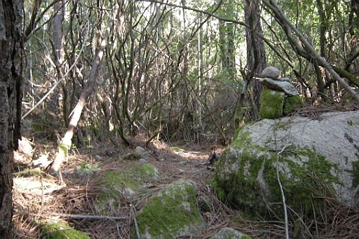 DSCN8678.JPG