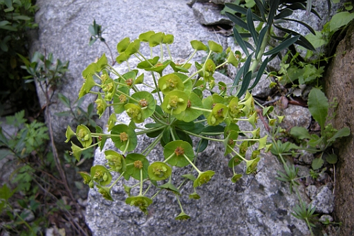DSCN8744.JPG