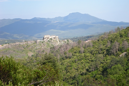 DSCN8784.JPG