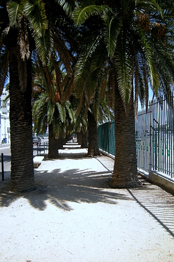 DSCN8788.JPG