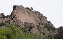 DSCN8480