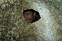 DSCN8491