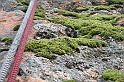 DSCN8510