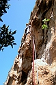 DSCN8565