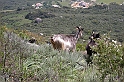 DSCN8575