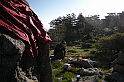 DSCN8626