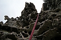 DSCN8647