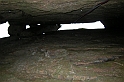 DSCN8649