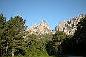 DSCN8664