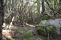 DSCN8678