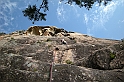 DSCN8682