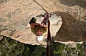DSCN8689