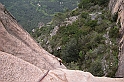 DSCN8701