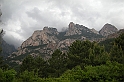 DSCN8706