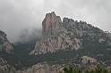 DSCN8707