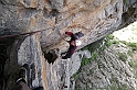 DSCN8715