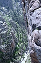 DSCN8767