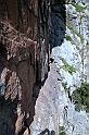 DSCN8768