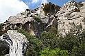 DSCN8771