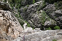 DSCN8777
