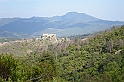 DSCN8784