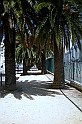 DSCN8788