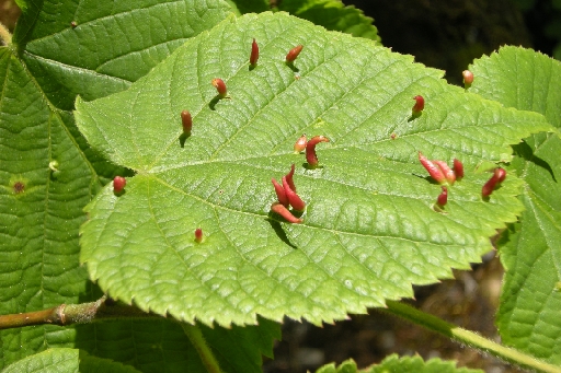 DSCN8959.JPG