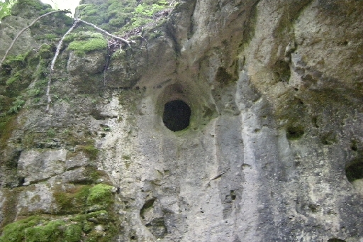DSCN8966.JPG