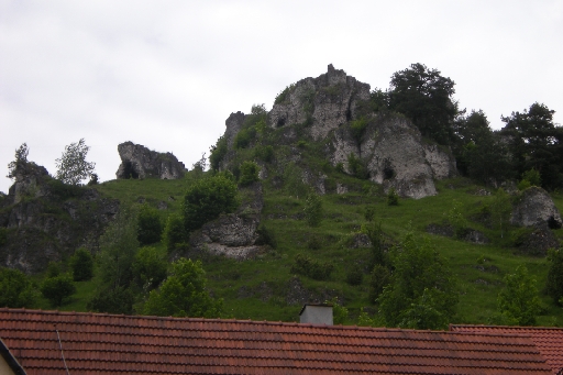 DSCN8981.JPG
