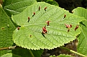 DSCN8959